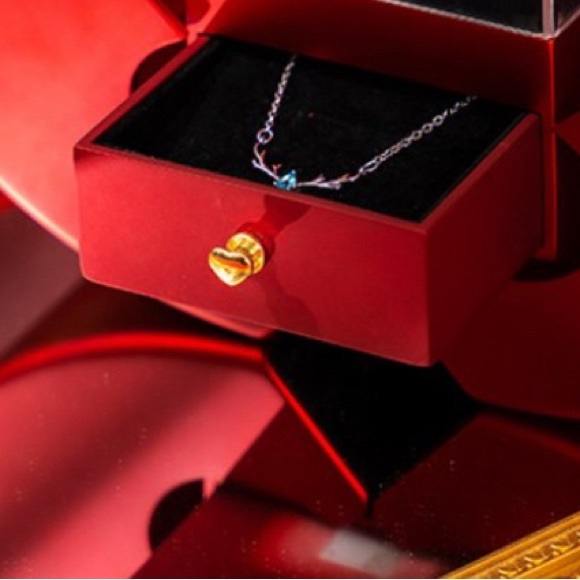 BNIB ACRYLIC APPLE HEART SHAPE PRESERVED RED ROSE RING/JEWELRY PRESENT GIFT BOX - Picture 8 of 16